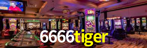 PIX Instantâneo 6666tiger